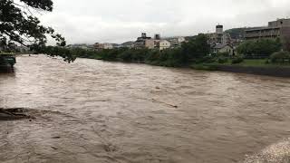 鴨川　2020年7月8日　7:05現在の様子