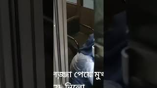 পদ্মা সেতুর টোল নেওয়ার মেয়ে পুরাই ভাইরাল পুরায় ভাইরাল ভিডিও না দেখলে মিস 2022