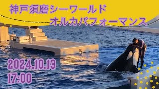 神戸須磨シーワールド　オルカパフォーマンス　2024.10.13 17:00