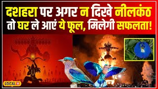 Dussehra 2024: दशहरा के दिन नीलकंठ पक्षी को देखना क्यों माना जाता है शुभ? जानें  महत्व #local18