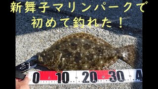 新舞子マリンパークではじめて魚を釣った #fishing