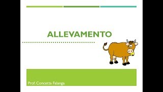 Allevamento - Classi 2^