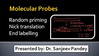 Molecular Probes