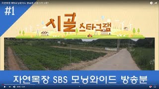 자연목장 SBS모닝와이드 방송분 시골스타그램1