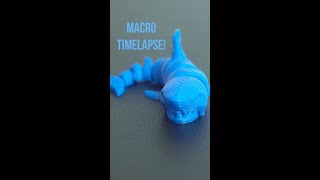 Cool 3D Print Timelapse Articulate Shark