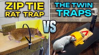 RATS hate these traps … 100% success !