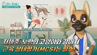 당신의 강아지와 고양이는 비만입니다. [4편]