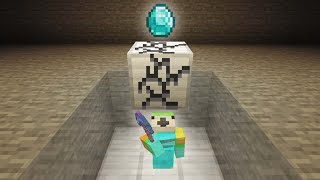 I Stole Minecraft's Rarest Diamond