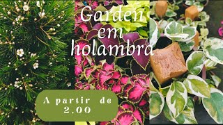 tour garden em Holambra, preços ótimos/ encontrei até plantas que eu não conhecia