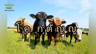 เล่านิทาน,  ร.๘๔,  โค​ กตัญญู🐮,   นิทาน​ชาดก,  |happytoyou​🐇​