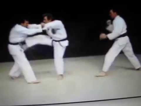 Kusanku Kata Bunkai Isshin Ryū Karate Youtube