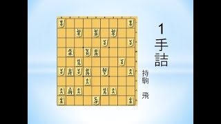 【詰将棋】1手詰 奇問