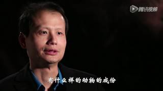 “90秒”“3·15”特辑  “壮阳药”：高价买安慰