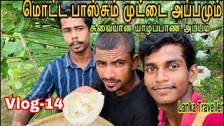 Srilanka Jaffna  பால் அப்பம் . முட்டை அப்பம் Lanka Traveller  vlog-14 சுவையான யாழ்ப்பாண அப்பம்