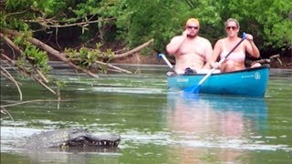 REMOTE CONTROLLED ALLIGATOR PRANK! (GONE WRONG)
