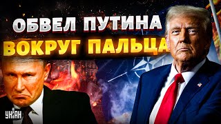 5 МИНУТ НАЗАД! США разнесли РФ. Трамп обвел Путина вокруг пальца. В БОЙ идут войска НАТО