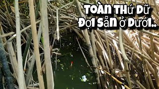 Tập 108 - Đụng Ổ Cá Cỡ Này Giật Rung Tay Luôn, Thả Mồi Xuống Là Nó Dứt Liền | Câu Cá Rô Đồng