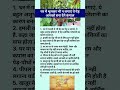 भूल कर घर में न लगाइए यह पेड़ नही रहेंगे कंगाल astrology astro vastu vastutips shorts viral