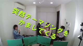 突然ですがぐりんれいちゃんねるはじめます！1mov