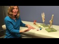 greensboro orthopaedics mallet finger splint application u0026 removal with jennifer sexton otr l cht