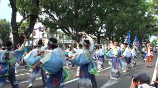 高知工科大学よさこい踊り子隊　2013高知よさこい祭り　全国大会　追手筋南