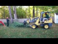 CMC 83HD+ Arbor Pro & WL 25 - Backyard Tree Removal