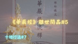 【華嚴經】離世間品十地行法#7