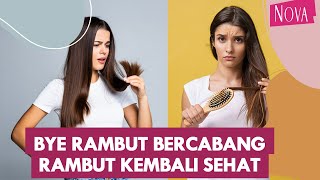 3 Cara Mengatasi Rambut Bercabang || Tips Merawat Rambut Bercabang