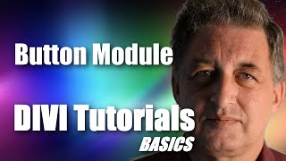 #24 DIVI Theme Tutorial for Beginners - DIVI Button Module