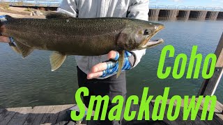 How To Fall Harbor Fish for Coho in Lake Huron Tips & Tricks for Dock, Beach and Pier Salmon Fishing