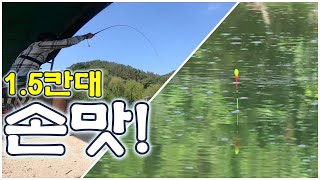 잉어 낚시 / 1.5칸 낚시대 손맛! / 채비의 중요성  / carp fishing / フナ釣り