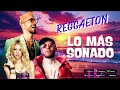 reggaeton mix 2024🌴best reggaeton musica 2024 mix🌴karol g shakira becky g rosalia ozuna feid