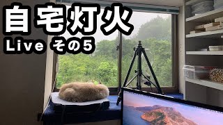 自分の机でライトトラップ 4【Live#5】Light trap in my room