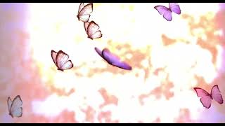 [背景フリー素材』蝶🦋