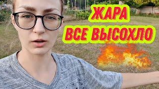 #120 Из Германии в Россию/ Пришлось ехать в больницу/ Жара спасаю огород