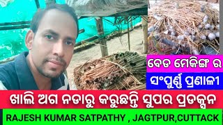 ଖାଲି ଅଗ ନଡାରୁ କରୁଛନ୍ତି ସୁପର ପ୍ରଡକ୍ସନ/ ଅଗ ନଡାରେ ବର୍ଷା ଦିନିଆ ପାଳ ଛତୁ ଚାଷ/ ସଫଳ ପାଳ ଛତୁ ଚାଷୀ ଓଡିଶା/#new