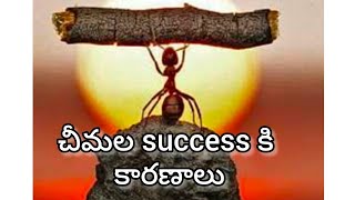 చీమల success కి కారణాలు II Reasons for success of ants II @babugeniusworld #motivationalvideo