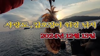 사량도, 갑오징어(2024년12월13일).