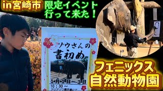 【宮崎】ゾウが書道するよ！フェニックス自然動物園の象🐘ミドリさん