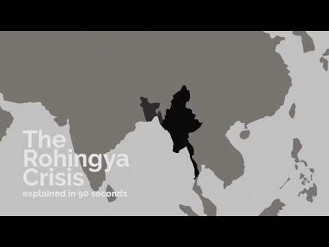 Who is helping the Rohingya?