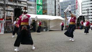 TEAM白獅子 （ 2016東京よさこい 本祭・駅前メイン会場）