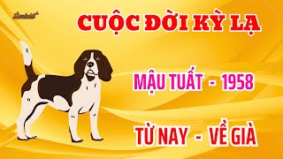 Cuộc Đời Kỳ Lạ - Mậu Tuất 1958 - Từ Nay Về Già - Thần Phật Ban Phước - Giàu Khoẻ Hết Phần Thiên Hạ