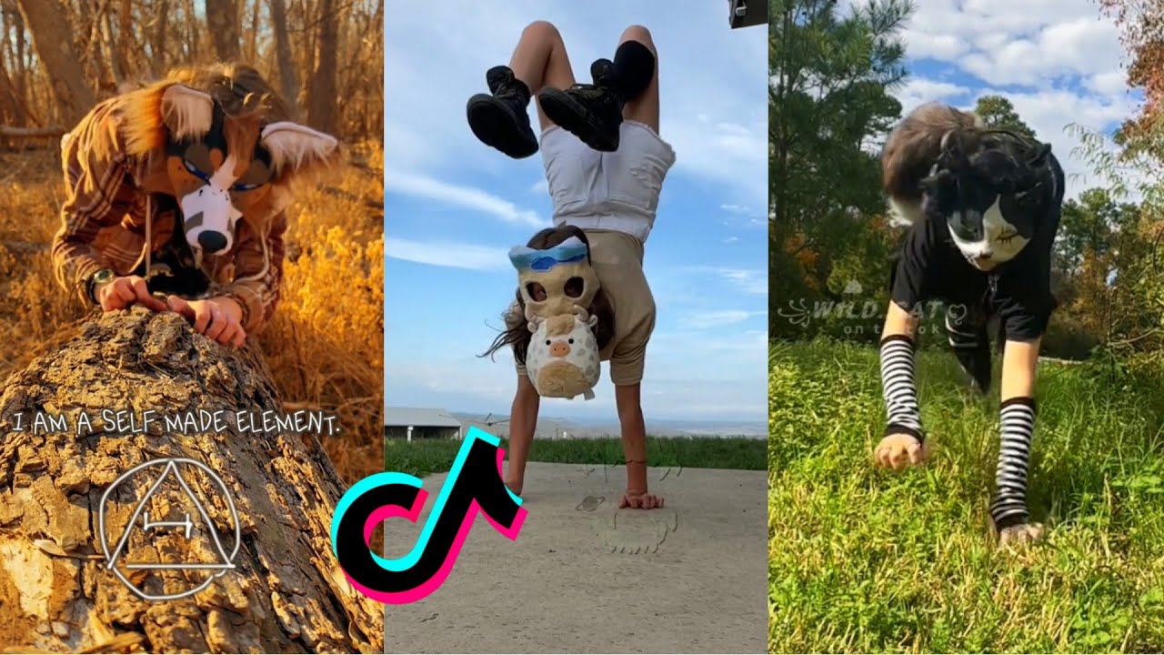 Therian Tiktok Compilation 25 Youtube