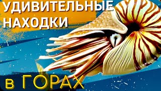 ЯЛТА. Уникальный ПАЛЕОМУЗЕЙ В Ливадии. В России АНАЛОГОВ НЕТ! НАХОДКИ в горах КРЫМА