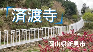 岡山県新見市                       済渡寺