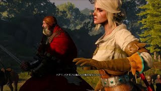 #35 シリ編：暗闇を抜けて【ウィッチャー3】the witcher 3 wild hunt