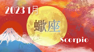 2023年1月✴︎蠍座【自信を持ってチャンスを掴み取る許可ができる時！その為の赦し🤍🫧🌙】