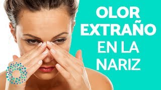 MAL OLOR en la NARIZ - ¿Por qué siento MAL OLOR en la NARIZ?