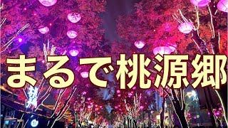 中国古都・西安で3泊4日の旅！始皇帝の眠る兵馬俑、回民街で食べ歩き三昧【Xi'anVLOG】