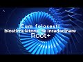 Cum folosesti biostimulatorul de inradacinare Root+